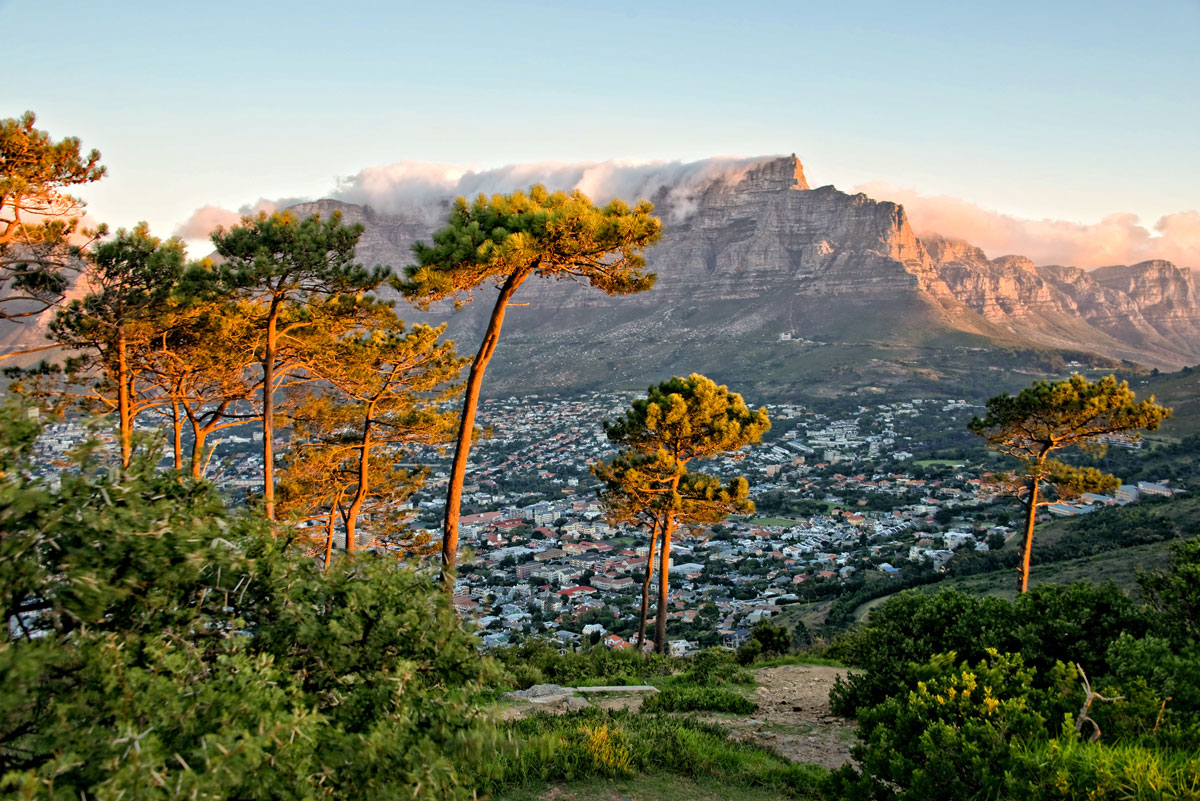 Cape Town Table Mountain Tour