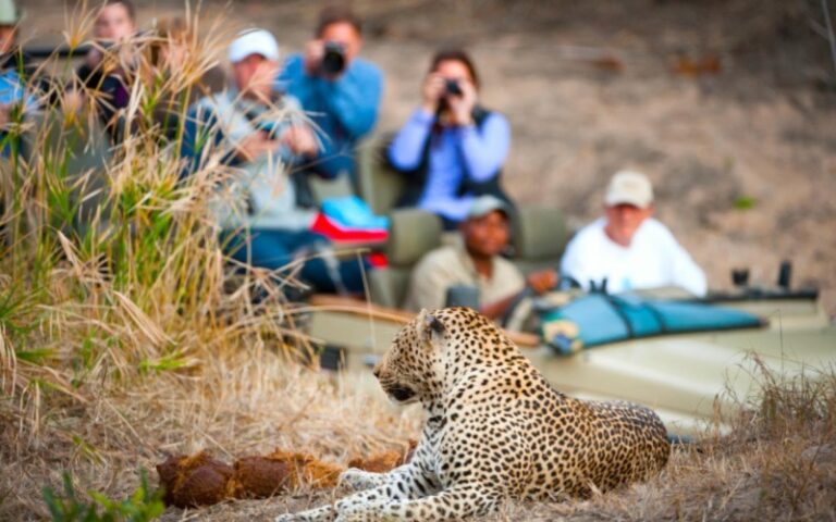 Sa Things Things To Do In South Africa - Justifies Your Travel Passion