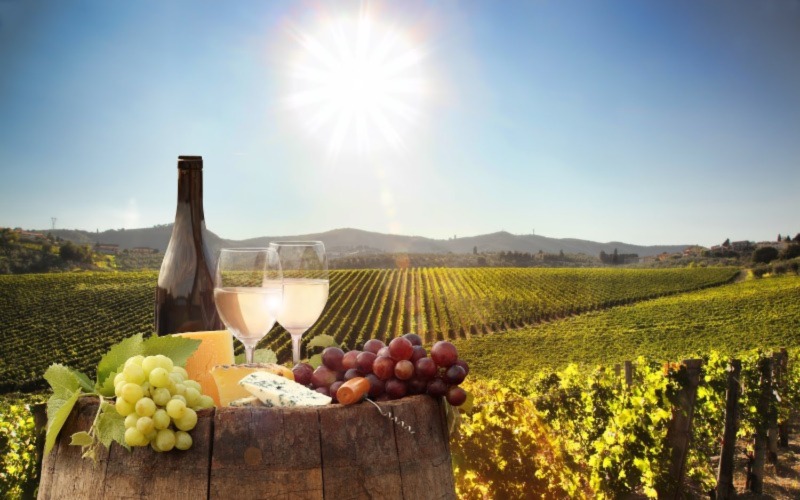 Stellenbosch Wine Tour