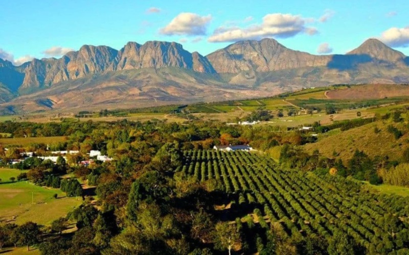 Stellenbosch