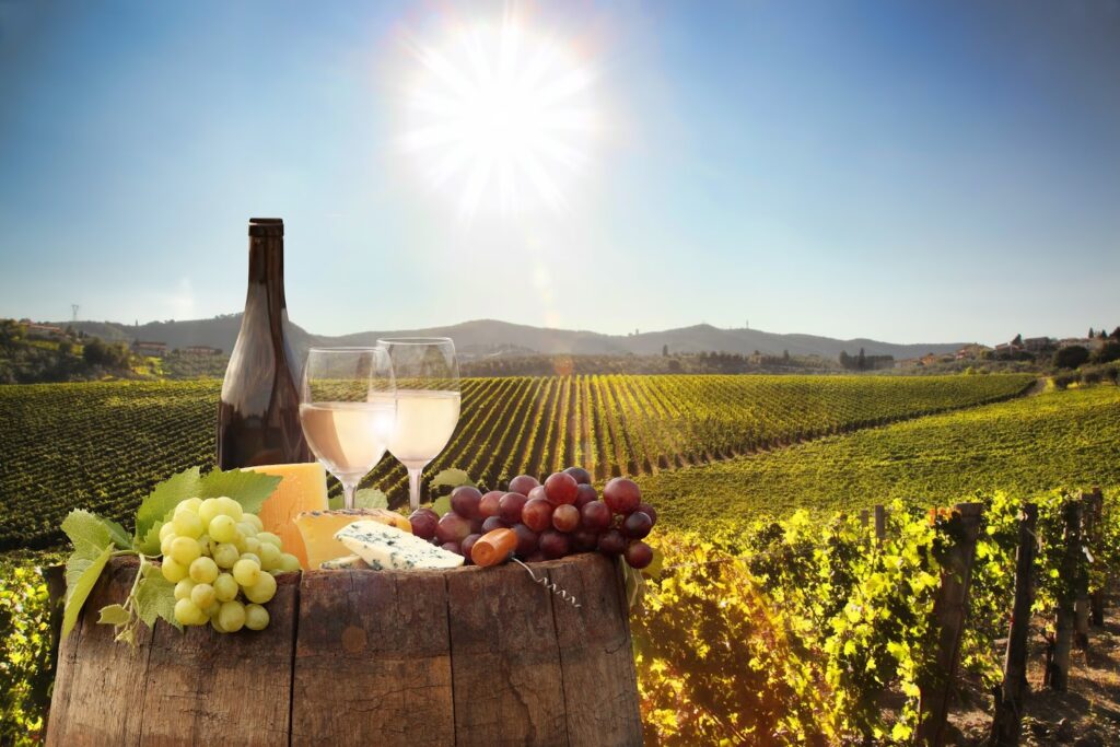 Stellenbosch Wine Tour – A Perfect Day Trip from Cape Town