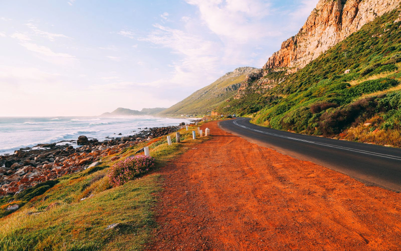 Cape peninsula Tours