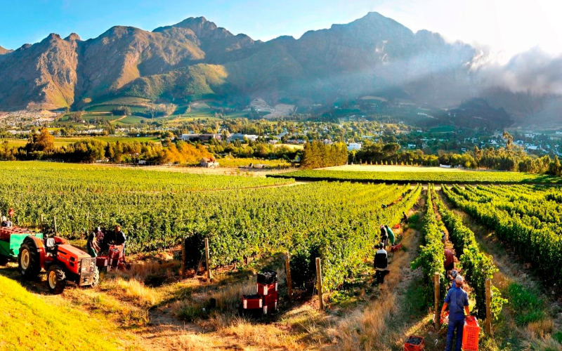 Best-Cape-Town-Activities