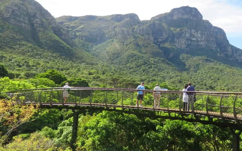 Kirstenbosch Botanical Gardens
