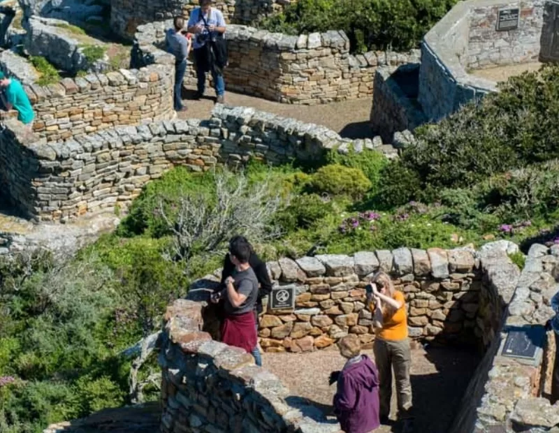 Cape Town Private Tours