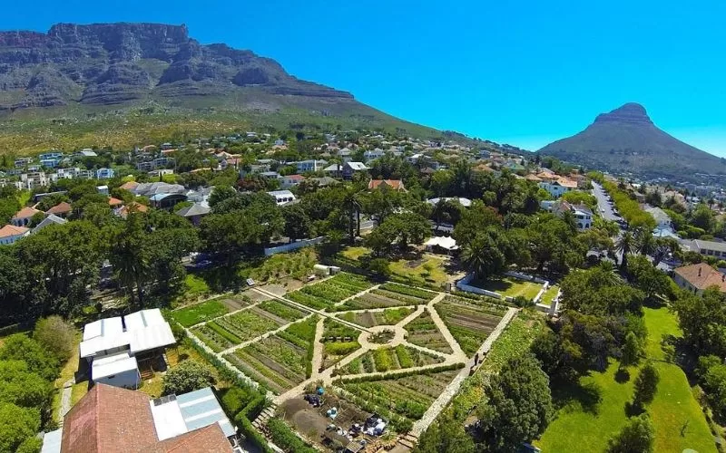 Oranjezicht City Farm
