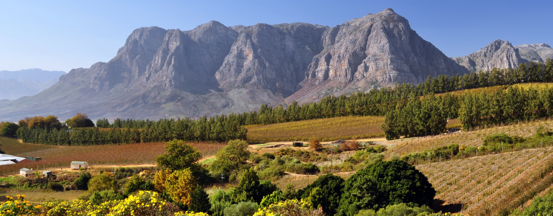 Day Trip To Stellenbosch
