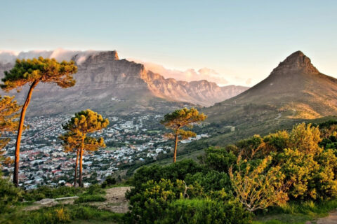 Cape Town Tours