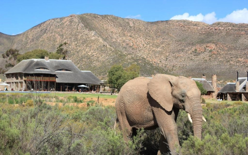 Aquilla Game Reserve
