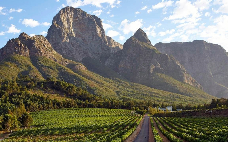 Cape Town Tours
