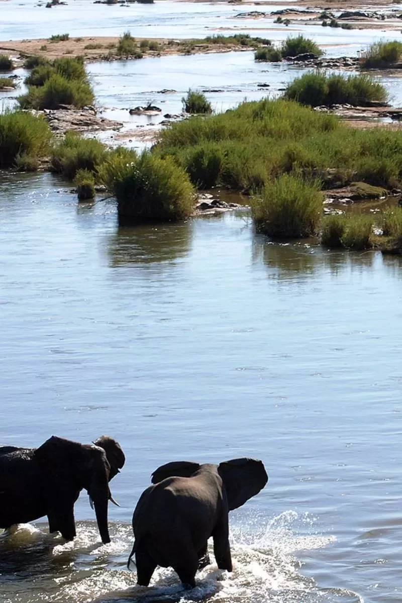 3-nights-in-the-kruger-national-park-tour1