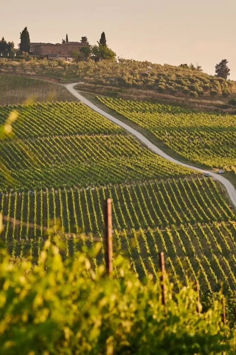 full-day-winelands-tours-ipna2